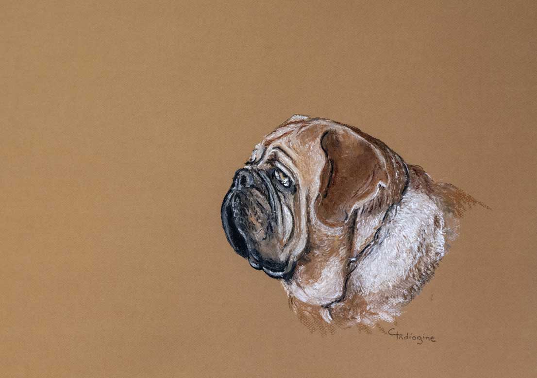 Nanak de profil - Pastel