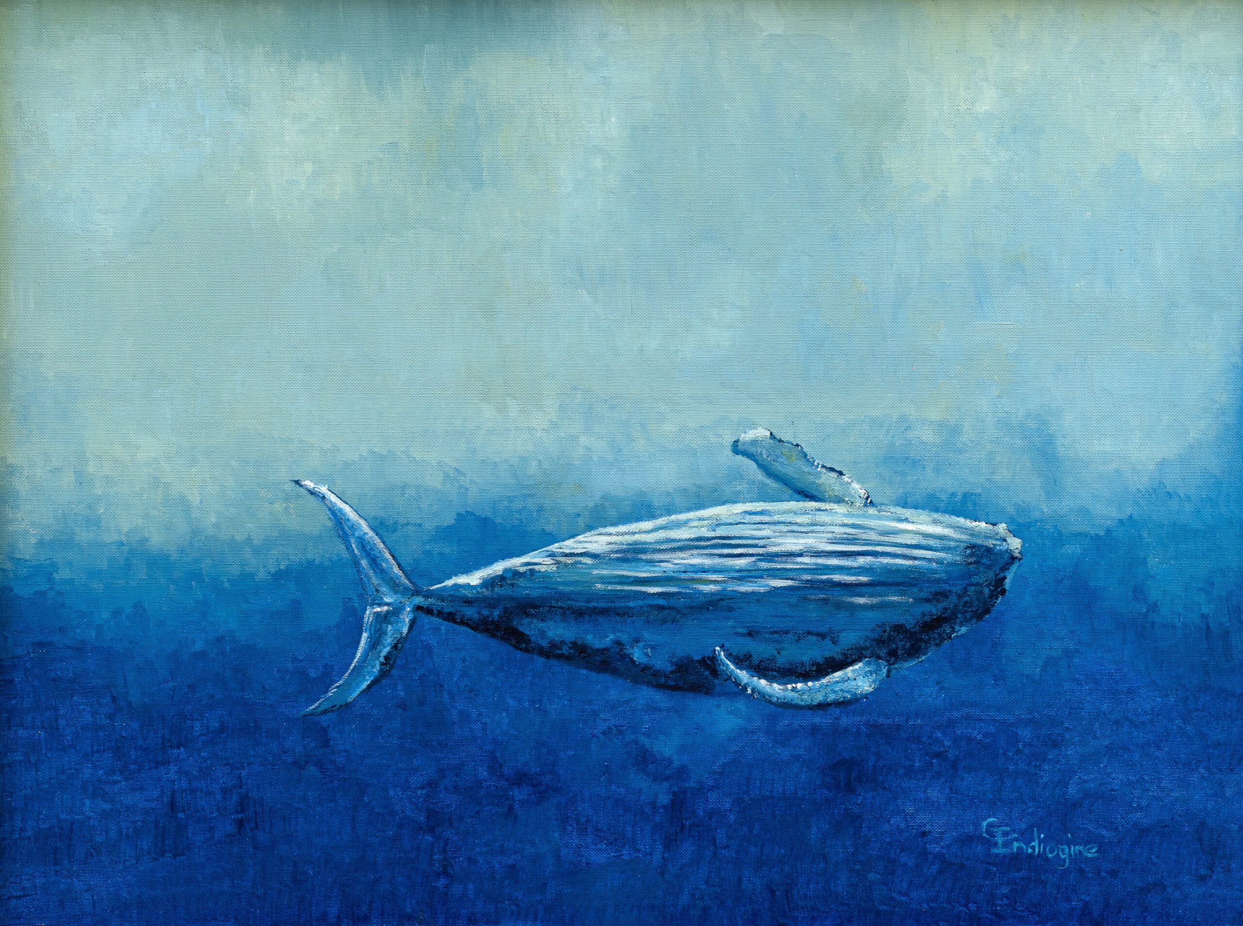 Lumière - Ineke indiogine