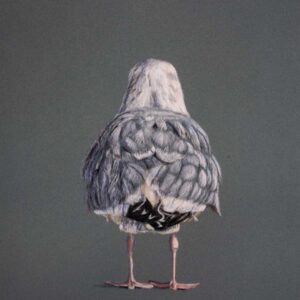 Goéland songeur - Ineke Indiogine