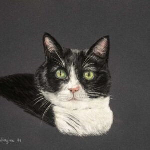 97-Félicette-1 Félicette - Ineke Indiogine