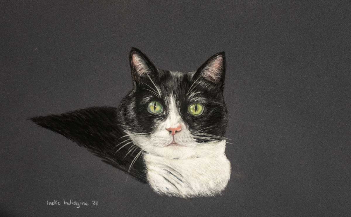 Félicette - Ineke Indiogine